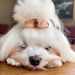 Meet your Posher, Funda